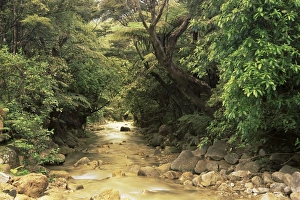 Serene Mountain Scenery Imprime: Mountains stream
