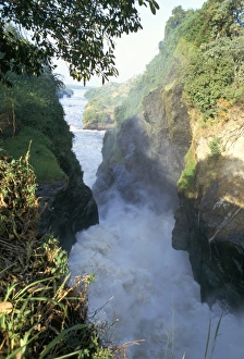 Uganda National Parks Imprime: Murchison Falls