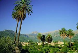 Puerto Polésnaga