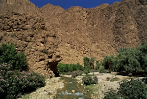 Contemporary Landscape Photography Imprime: River below rock cliffs