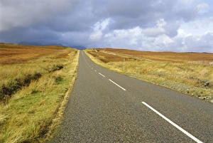 Empty Road Photography Imprime: Empty road