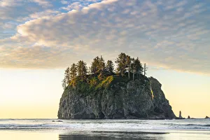 Sea Stack Photography Imprime: Sea stack at dawn at Second Beach, La Push, Clallam county, Washington State
