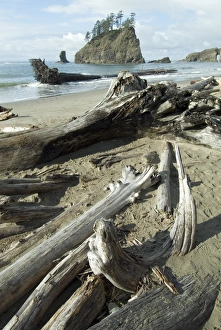 World Heritage Site USA Imprime: Second Beach