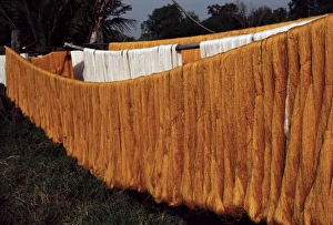 Thailand Travel Images Imprime: Silk drying