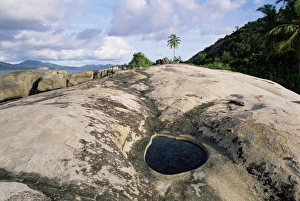 Mahe Island Landscape Imprime: Small pool on rock