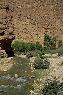 Travel Photography In Morocco Imprime: Small river below rock cliffs