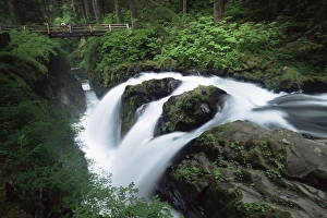 Washington State Tourism Imprime: Sol Duc Falls