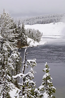 Yellowstone National Park Scenic Views Imprime: SP022331
