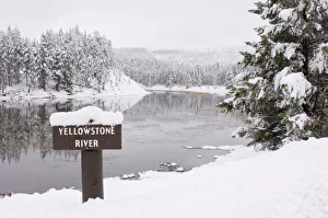 Cold Climate Landscapes Imprime: SP022362