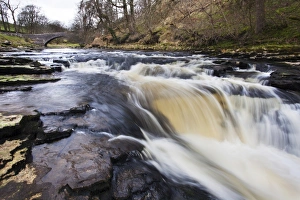 English Countryside Bridges Imprime: StainforthBridge and Stainforth Force on the River Ribble