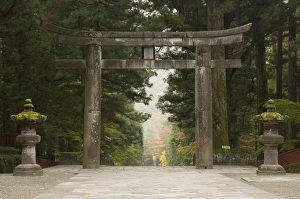 Japanese Shrines And Temples Imprime: Stone Torii