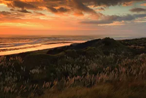 Isla Norte Imprime: Atardecer en la playa del océano