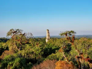 Ancient Maya Civilization Imprime: Sunset view of Temple III from elevated position, showcasing Tikal in Peten, Guatemala