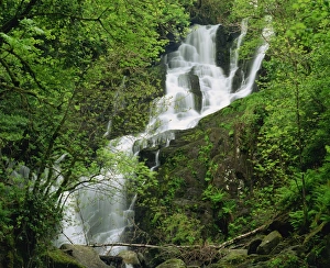 Torc Waterfall Ireland Imprime: Torc Waterfall at Killarney