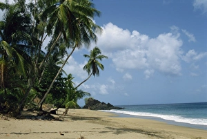 Colorful Tropical Landscape Imprime: Turtle Beach