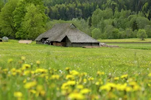 Impresiones de Casa típica de granjas latvasas cerca de Ligatne en el Parque Nacional del río Gaia en Letonia Letonia Imprime: Casa típica de granja letona