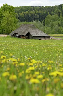 Impresiones de Establecimiento agrícola típico de Letonia cerca de Ligatne en el Parque Nacional Gaia y la República de Letonia Europa Letonia Imprime: Casa típica de granja letona