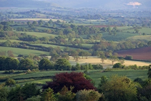 Uk Rural Scenery Imprime: Typical patchwork fields, Dorset, England, United Kingdom, Europe
