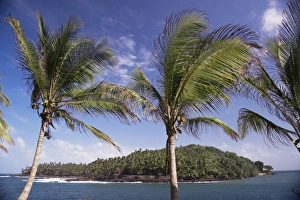Devils Island Prison Imprime: View to Devils Island