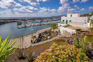 Canary Islands Coastal Scenery Imprime: View of harbour from elevated position
