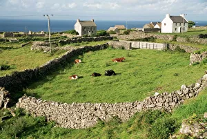 European Union Countryside Imprime: Walled fields