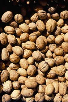 Walnut Photography Imprime: Walnuts