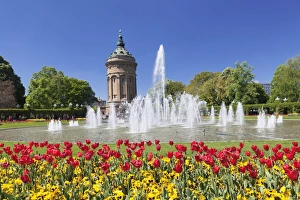Germany Travel Guide Imprime: Wasserturm am Friedrichsplatz, Mannheim, Baden-Wurttemberg, Germany, Europe