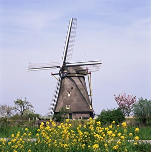 Kinderdijk Windmill Imprime: Windmill, Kinderdijk
