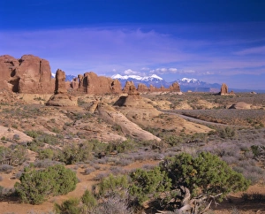 Desert Mountain Range View Imprime: The Windows section