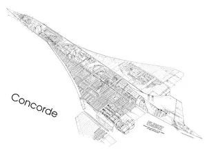 Dibujo de la primera sección del Concorde