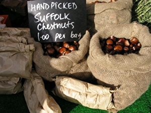Autumn Food Imprime: Chestnuts