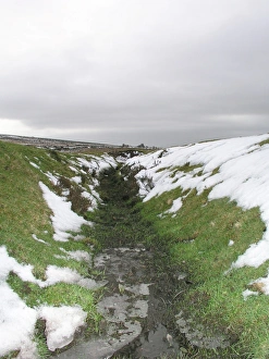 UK Photography Imprime: Dartmoor, Devon