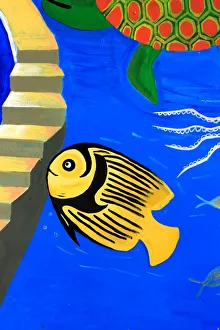 Tropical Fish Photos Imprime: Fish on steps
