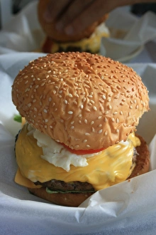 Juicy Hamburger Imprime: Hamburger