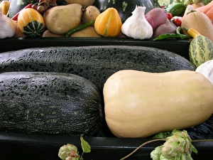 Mixed Vegetables Imprime: Mixed marrows