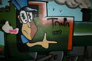 Train Photography Imprime: Train graffiti