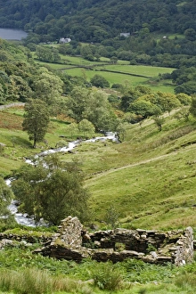 Impresiones de Wales, Conwy, Snowdonia. El río Afon Cwm Llan se desborda en una serie de cascadas junto al sendero Watkin uno de los recorridos hacia el pico de Snowdon Imágenes de agosto de 2008: Agosto de 2008