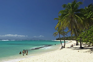 Island Hopping In The Caribbean Imprime: Capesterre