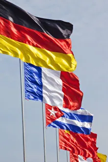 Asian Flags Imprime: Flags