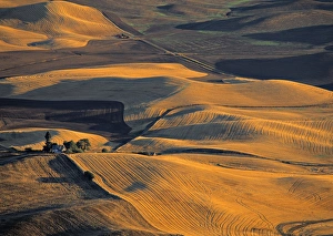 Washington State Landscapes Imprime: Wheat Fields