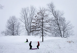 Snowy Scene Imprime: RTR3DIMY