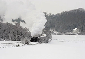 Snowy Landscape Photography Imprime: RTXVDRH