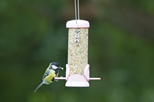 Bird Feeding Station Imprime: 004403