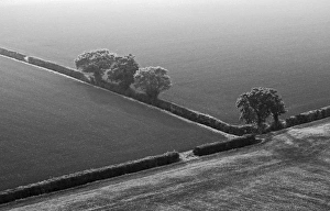 Geometric Patterns In Nature Imprime: 005731