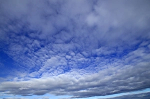 Impresiones de clouds Imágenes fechadas en noviembre de 2009: clouds