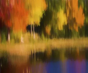 Danita Delimont Abstract Art Imprime: Abstract Fall