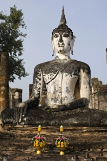 Impresiones de Buddhas Imágenes de noviembre de 2007: Buddhas