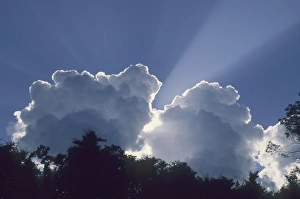 Cloudy Weather Imprime: Clouds