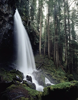 Oregon Waterfall Imprime: CTF-1007