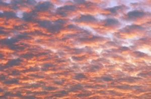Colorful Evening Sky Imprime: Cumulus clouds at sunset